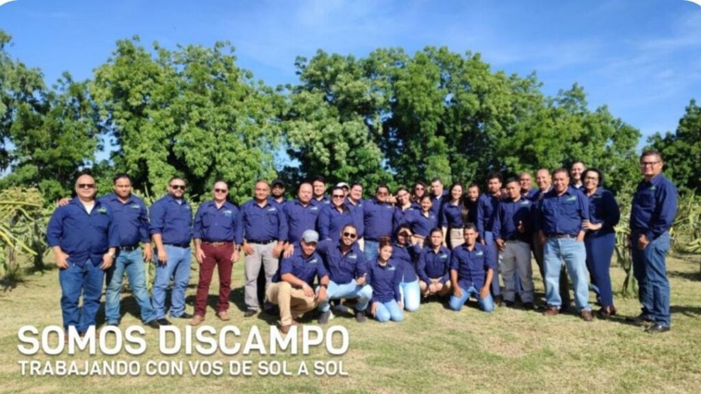 Nuestro Equipo Discampo